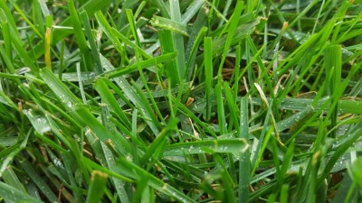 20181011_182723.jpg