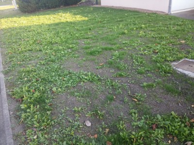 20181016_173734.jpg