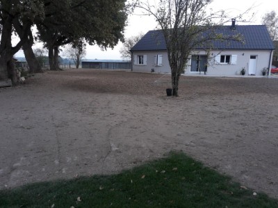 Lignée de chêne
