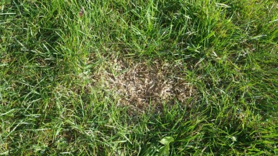 20181021_160543-min.jpg