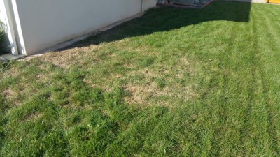 20181021_160556-min.jpg
