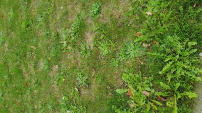 20181026_142527.jpg
