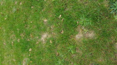 20181026_142534.jpg