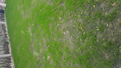 20181026_162434.jpg