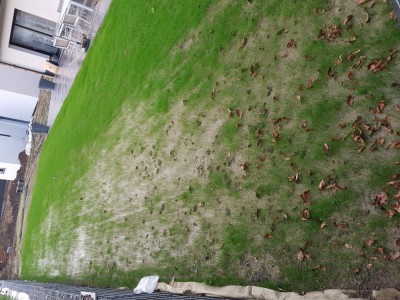 20181026_175857.jpg