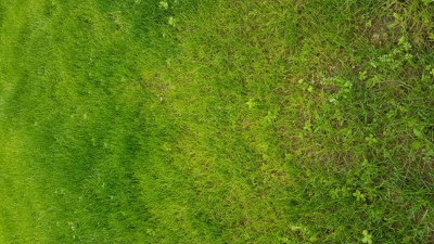20181028_141354.jpg