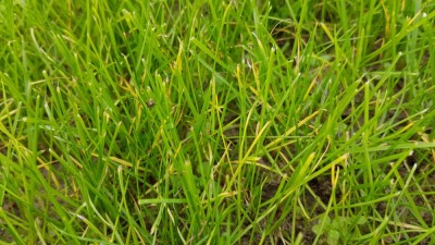 20181028_142959.jpg