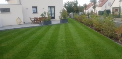 20180928_174317.jpg