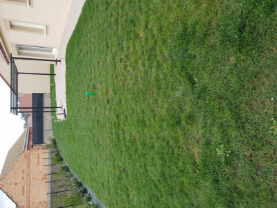 20181104_122140.jpg