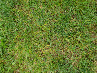 20181104_122306.jpg