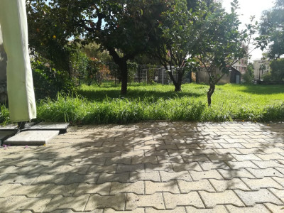 IMG-20181108-WA0000.jpg