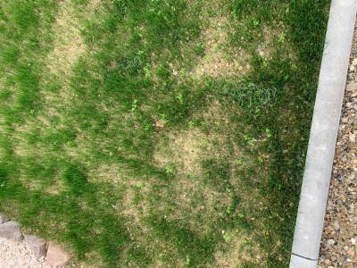 EF361881-06EE-42ED-9CB6-1B9C0505464D.jpeg
