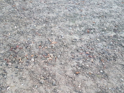 20181211_164422.jpg