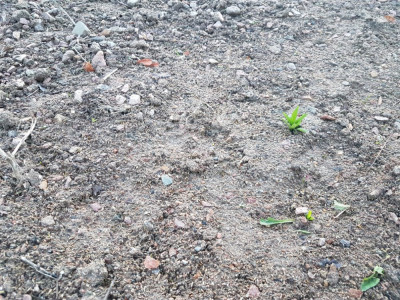 20181211_164451.jpg