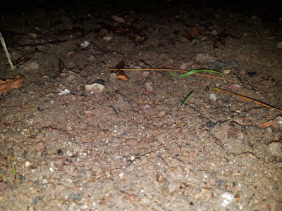 20181211_175910.jpg