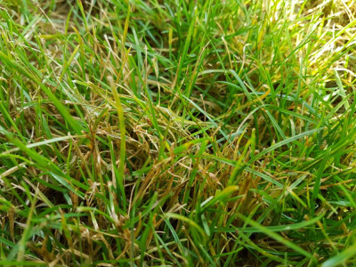 20181218_113605.jpg