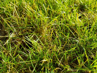 20181218_113542.jpg