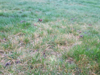 20181230_100438_001.jpg