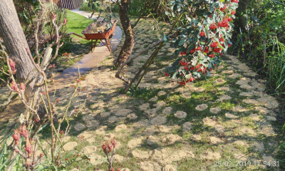 IMG_20190225_115431_HDR.jpg