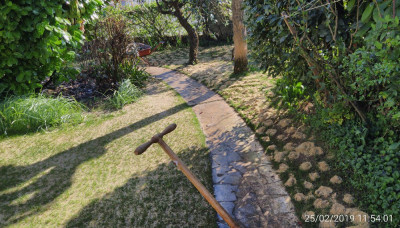 IMG_20190225_115401_HDR.jpg