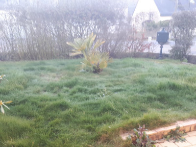 20190226_082441.jpg