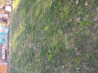 Sur une surface de 300 m2
