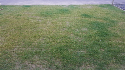 20190302_093513.jpg