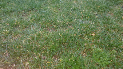 20190302_100221.jpg
