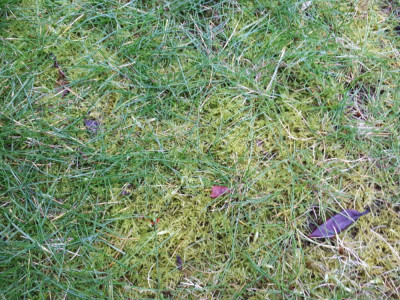 20190304_080742.jpg