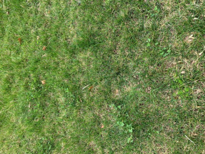 IMG_9293.JPG