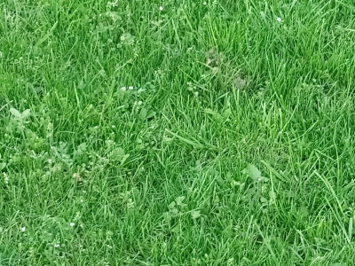 IMG_20190322_183744.jpg