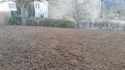 terrain à planter.jpg