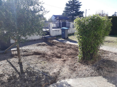 20190223_120113.jpg