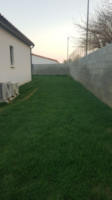 20190327_184500.jpg