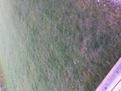 IMG-6956.JPG