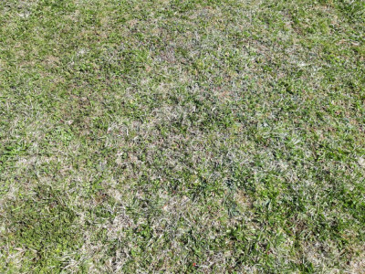 20190330_111915.jpg