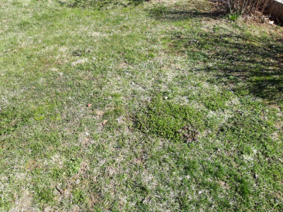 20190330_111844.jpg