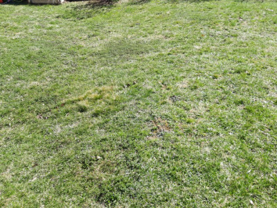 20190330_111828.jpg