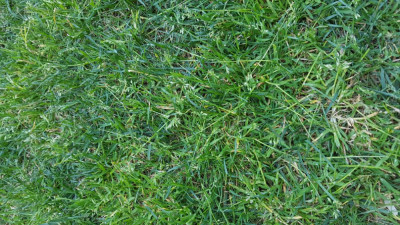 20190323_114712.jpg