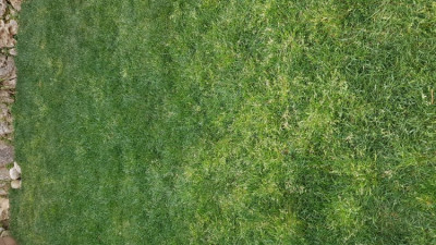 20190401_164229.jpg