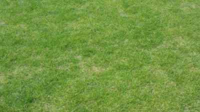 20190407_144505.jpg