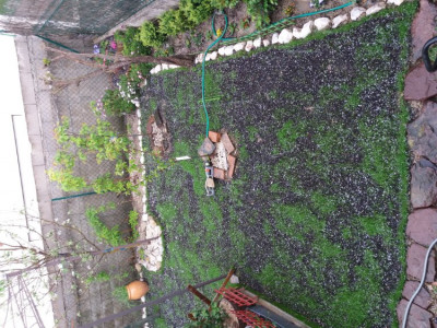 20190407_155418.jpg