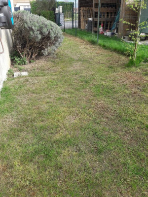 20190407_172548.jpg