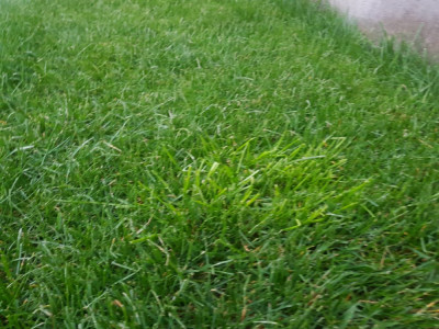 20190408_200233.jpg