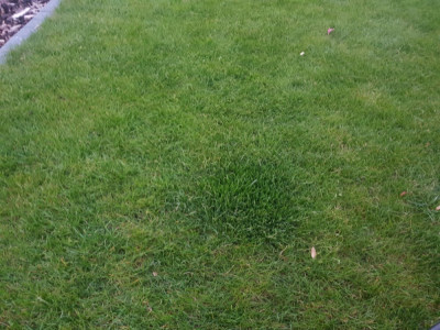 20190408_200852.jpg