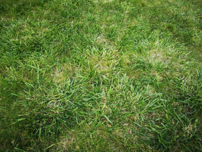 IMG-20190330-161118.jpg