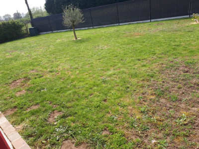20190414_141420.jpg