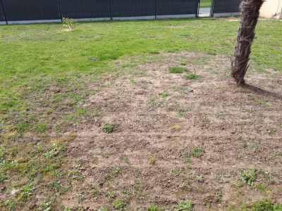 20190414_141415.jpg