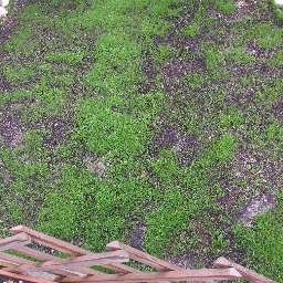 20190416_085556.jpg