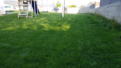 20190419_182048.jpg